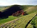 Knap Hill - geograph.org.uk - 282649