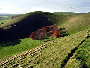 Knap Hill - geograph.org.uk - 282649.jpg