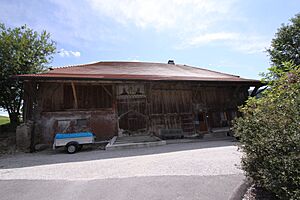 Le Pré de la Maison 12 Treyvaux Aug 2011