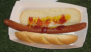 Long hot dog in bun