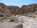 Looking down the canyon