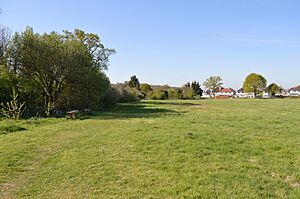 Masons Field 3
