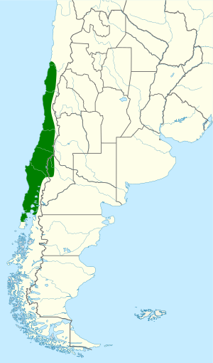 Mimus thenca map.svg