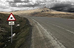 Minefield road sign - Falkland Islands