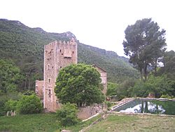 Monasteriodelamurtaalzira001.jpg