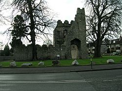 Monkstown Castle from the North