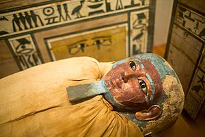 Mummy, Metropolitan Museum of Art NYC