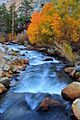 North Bishop Creek in the Fall