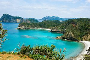 Ogasawara Islands, Tokyo, Japan