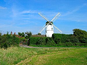 Patcham mill