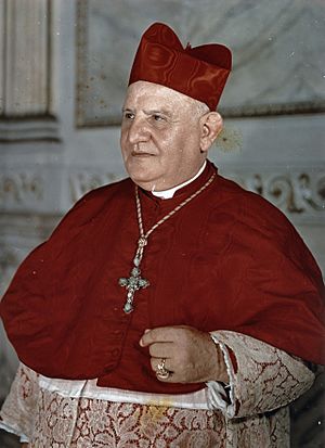 Paus Johannes XXIII, Bestanddeelnr, 254-7064