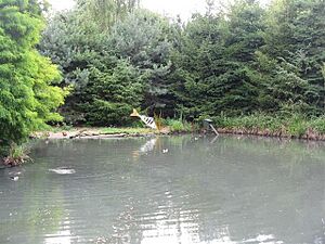 Perch at the WWT London Wetland Centre - geograph.org.uk - 1446536