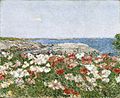 Poppies on the Isles of Shoals, Childe Hassam