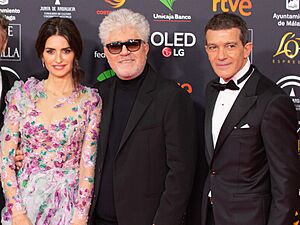 Premios Goya 2020 - Equipo Dolor y gloria (Cruz, Almodóvar, Banderas)