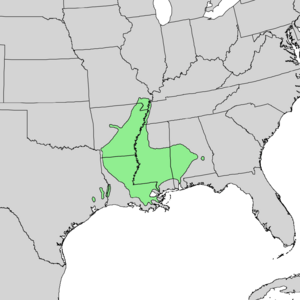 Quercus texana range map 2.png