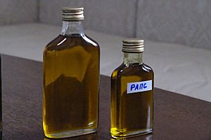 Rapeseed oil obtained as an experiment. Buryatia, Russia