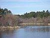 Reed Bingham Park lake 1.JPG