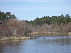 Reed Bingham Park lake 1