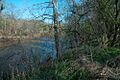 Rivana River-1