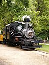 Roaring Camp Heisler02.jpg