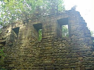 Ruins of Langley Hall, Durham - geograph.org.uk - 287260