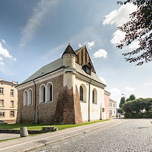 Rzeszów, Synagoga Staromiejska w Rzeszowie DZolopa 2019-08-17 152252 1333