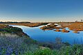 San Elijo Lagoon