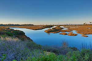 San Elijo Lagoon