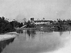 Saw mill, Muscogee, Florida, ca. 1903