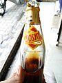 Sosyo Bottle