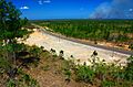 Southern Highway, Toledo District, Belize
