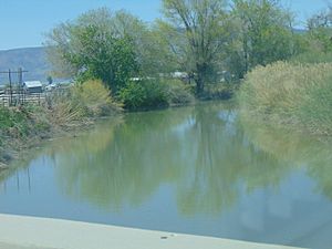 Spanish Fork River at SR-77, May 16
