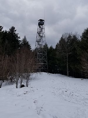 Spruce Mountain Fire Observation Station