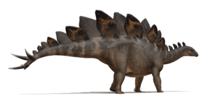 Stegosaurus stenops Life Reconstruction