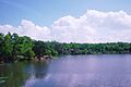 Tatanagar Hudco lake