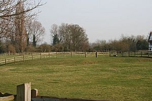 The castle - geograph.org.uk - 1240360