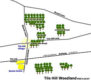Tile-hill-Woodland-map