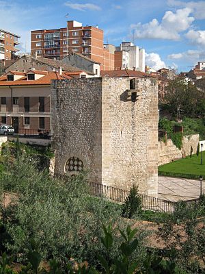 Torreón de álvarez Fernández.jpg