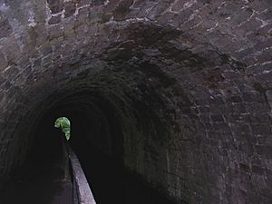 Tunnel2