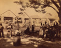 Valentine and Sons - Street View 3, Kingston, Jamaica, 1891f