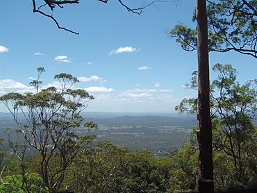 View north from The Knoll Tamborine Mountain.JPG