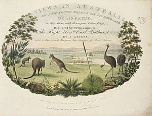 Views in Australia Lycett 1824-25 SLNSWa2799007h