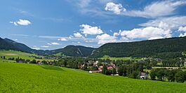 Vue du Val-de-Travers dans son écrin de verdure (Môtiers, le 20.07.2009)..jpg