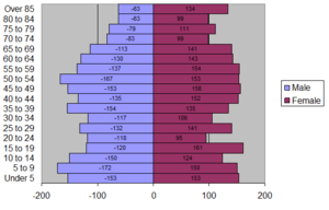 2010 age distribution graph-Windom