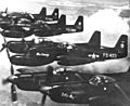 339th FAWS North American F-82G Twin Mustangs 46-366 46-390 46 403