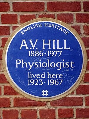A. V. HILL 1886–1977 Physiologist lived here 1923 – 1967