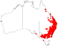 Acacia implexaDistMap454