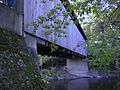Ada Michigan Covered Bridge downstream underside DSCN9708