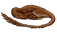 Archaeornithoides.jpg