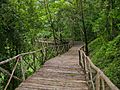 Belum Rainforest Resort Outdoor Walkway, Perak, Malaysia